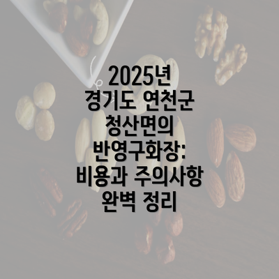 2025년 경기도 연천군 청산면의 반영구화장: 비용과 주의사항 완벽 정리