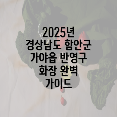 2025년 경상남도 함안군 가야읍 반영구 화장 완벽 가이드