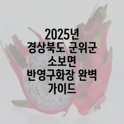 2025년 경상북도 군위군 소보면 반영구화장 완벽 가이드