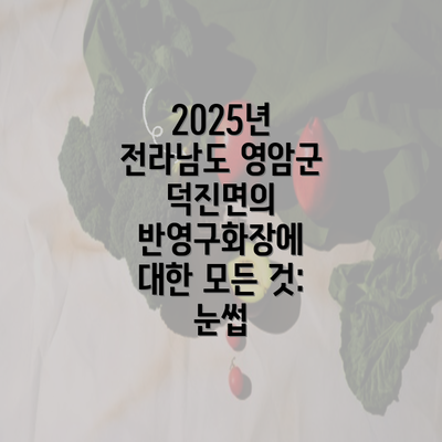 2025년 전라남도 영암군 덕진면의 반영구화장에 대한 모든 것: 눈썹