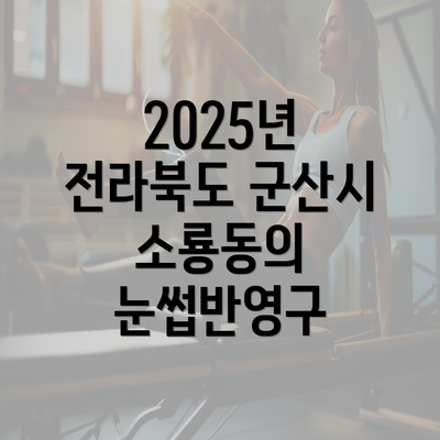 2025년 전라북도 군산시 소룡동의 눈썹반영구