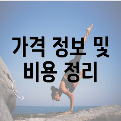 가격 정보 및 비용 정리