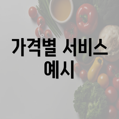 가격별 서비스 예시