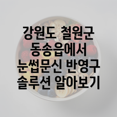 강원도 철원군 동송읍에서 눈썹문신 반영구 솔루션 알아보기