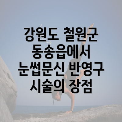 강원도 철원군 동송읍에서 눈썹문신 반영구 시술의 장점