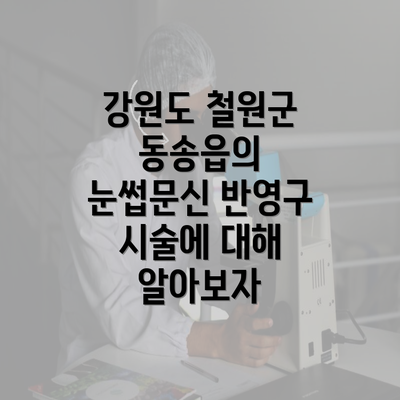 강원도 철원군 동송읍의 눈썹문신 반영구 시술에 대해 알아보자