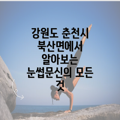 강원도 춘천시 북산면에서 알아보는 눈썹문신의 모든 것