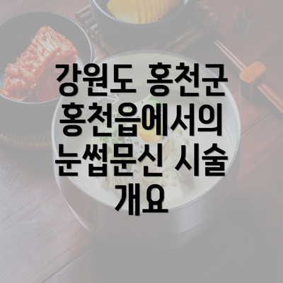 강원도 홍천군 홍천읍에서의 눈썹문신 시술 개요