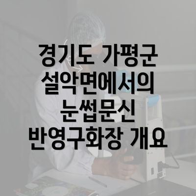 경기도 가평군 설악면에서의 눈썹문신 반영구화장 개요