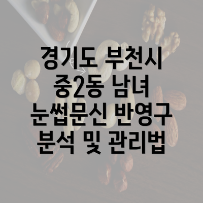 경기도 부천시 중2동 남녀 눈썹문신 반영구 분석 및 관리법