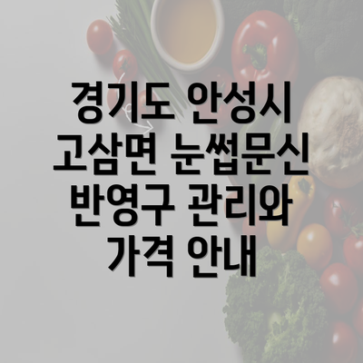 경기도 안성시 고삼면 눈썹문신 반영구 관리와 가격 안내