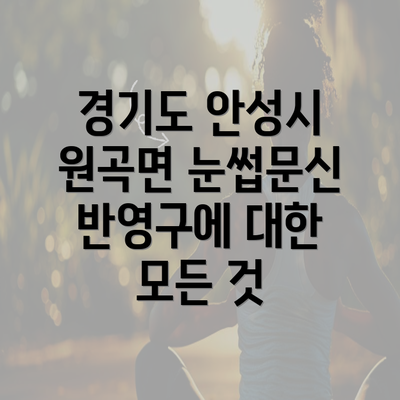 경기도 안성시 원곡면 눈썹문신 반영구에 대한 모든 것