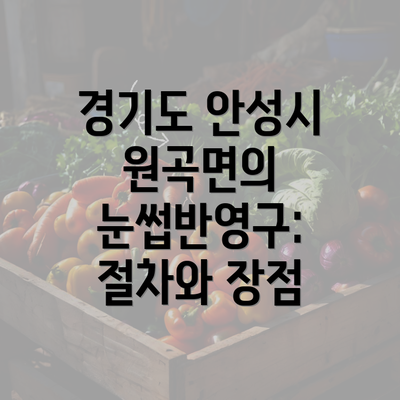 경기도 안성시 원곡면의 눈썹반영구: 절차와 장점