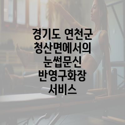 경기도 연천군 청산면에서의 눈썹문신 반영구화장 서비스