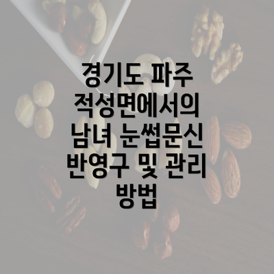 경기도 파주 적성면에서의 남녀 눈썹문신 반영구 및 관리 방법