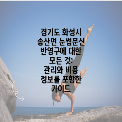 경기도 화성시 송산면 눈썹문신 반영구에 대한 모든 것: 관리와 비용 정보를 포함한 가이드