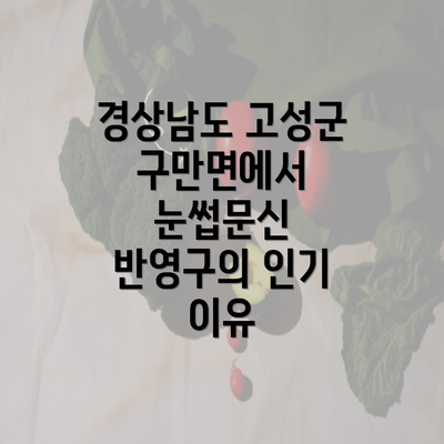 경상남도 고성군 구만면에서 눈썹문신 반영구의 인기 이유