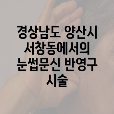 경상남도 양산시 서창동에서의 눈썹문신 반영구 시술