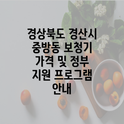 경상북도 경산시 중방동 보청기 가격 및 정부 지원 프로그램 안내