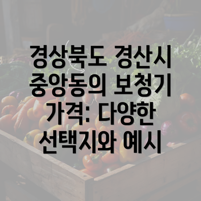 경상북도 경산시 중앙동의 보청기 가격: 다양한 선택지와 예시