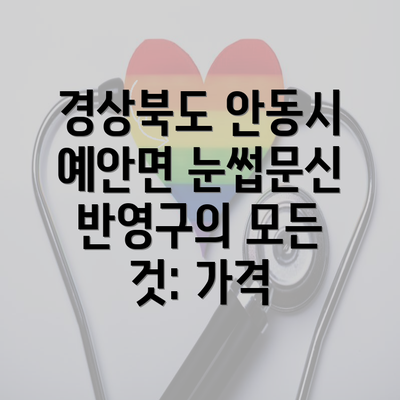 경상북도 안동시 예안면 눈썹문신 반영구의 모든 것: 가격