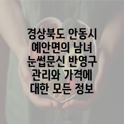 경상북도 안동시 예안면의 남녀 눈썹문신 반영구 관리와 가격에 대한 모든 정보