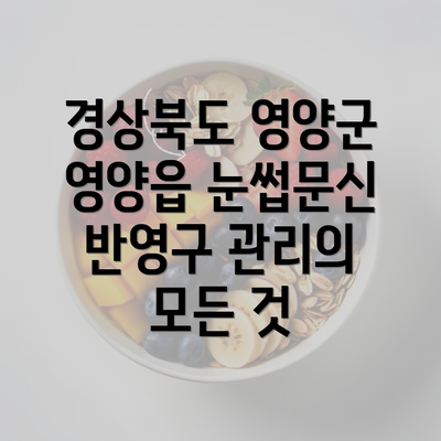 경상북도 영양군 영양읍 눈썹문신 반영구 관리의 모든 것