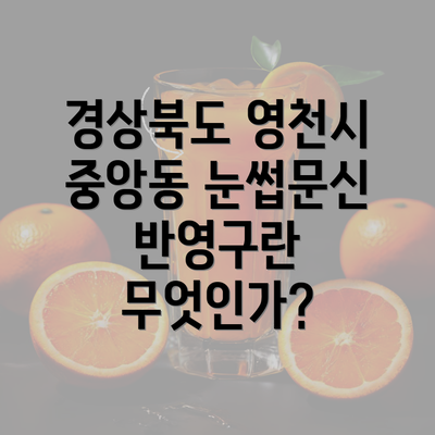 경상북도 영천시 중앙동 눈썹문신 반영구란 무엇인가?