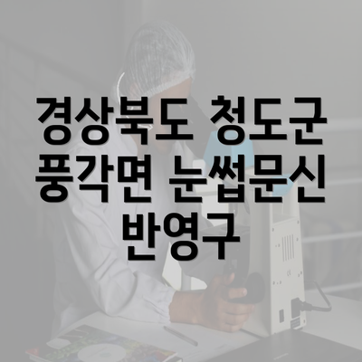 경상북도 청도군 풍각면 눈썹문신 반영구