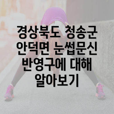 경상북도 청송군 안덕면 눈썹문신 반영구에 대해 알아보기