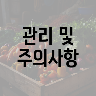 관리 및 주의사항