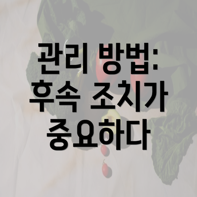 관리 방법: 후속 조치가 중요하다