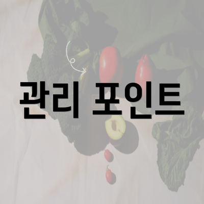 관리 포인트