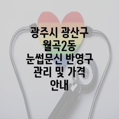 광주시 광산구 월곡2동 눈썹문신 반영구 관리 및 가격 안내