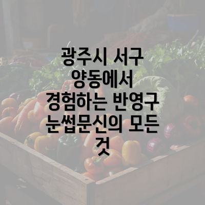 광주시 서구 양동에서 경험하는 반영구 눈썹문신의 모든 것