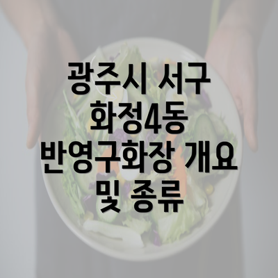 광주시 서구 화정4동 반영구화장 개요 및 종류