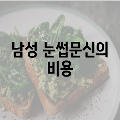 남성 눈썹문신의 비용