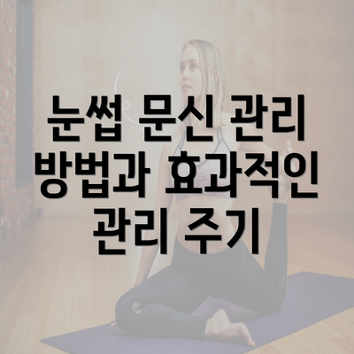 눈썹 문신 관리 방법과 효과적인 관리 주기