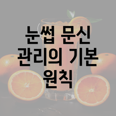 눈썹 문신 관리의 기본 원칙