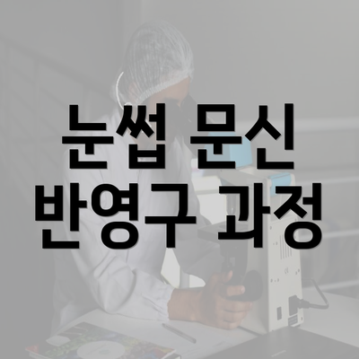 눈썹 문신 반영구 과정