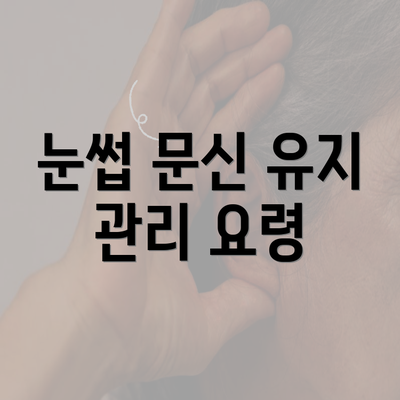 눈썹 문신 유지 관리 요령