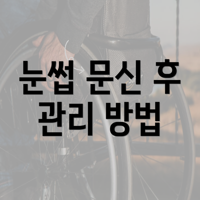 눈썹 문신 후 관리 방법