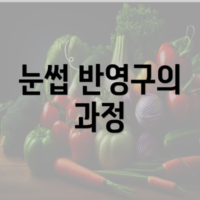 눈썹 반영구의 과정