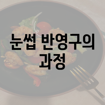 눈썹 반영구의 과정