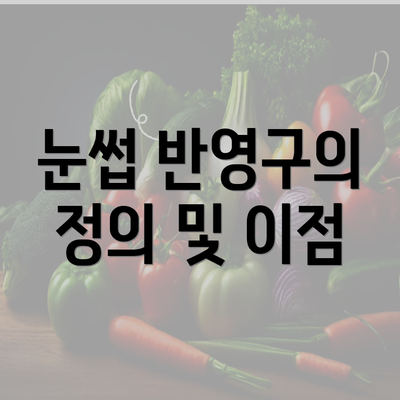 눈썹 반영구의 정의 및 이점