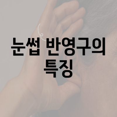 눈썹 반영구의 특징