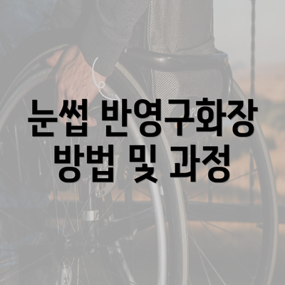 눈썹 반영구화장 방법 및 과정