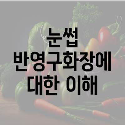 눈썹 반영구화장에 대한 이해