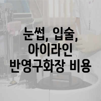 눈썹, 입술, 아이라인 반영구화장 비용