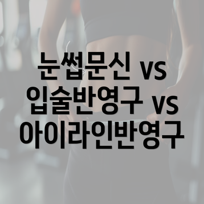 눈썹문신 vs 입술반영구 vs 아이라인반영구